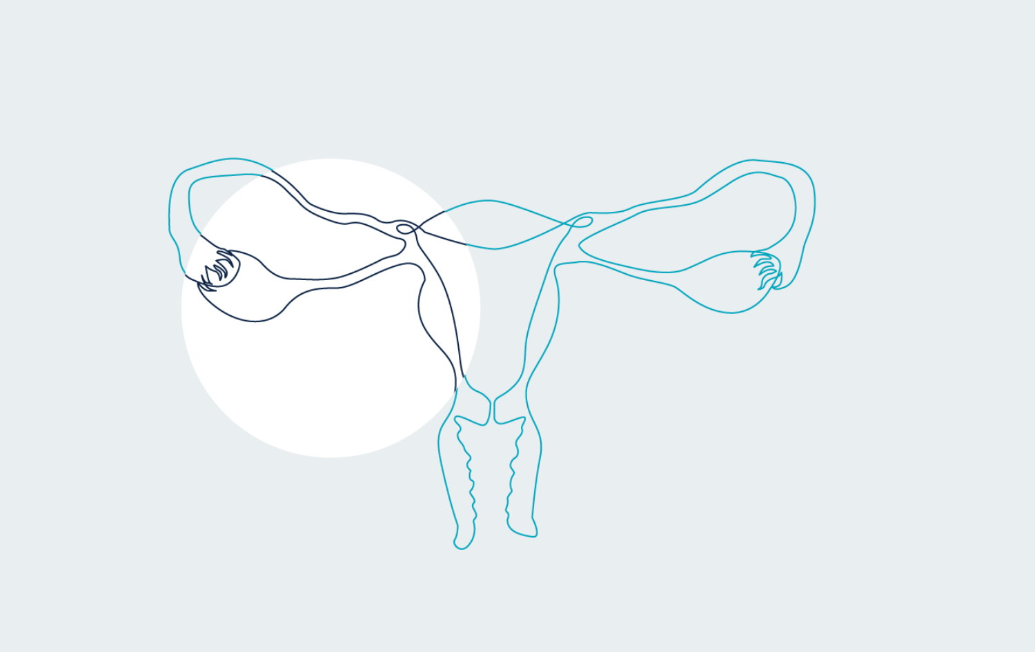line drawing of a uterus in teal with white circle on a light grey background