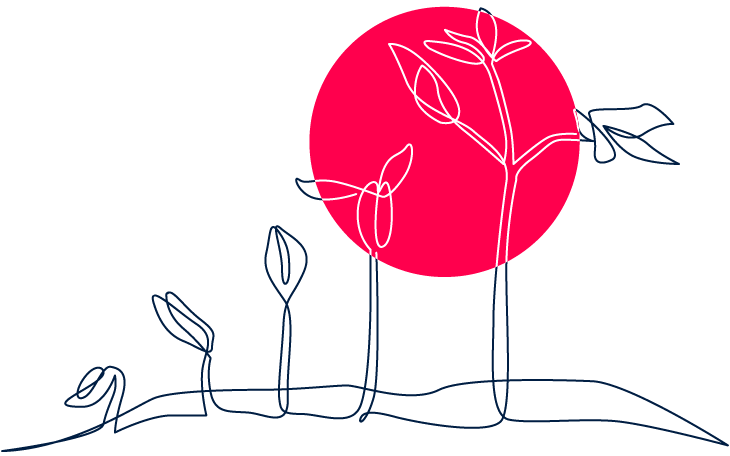 Illustration of a Plant Growing