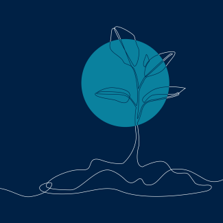 2025 Holiday Message