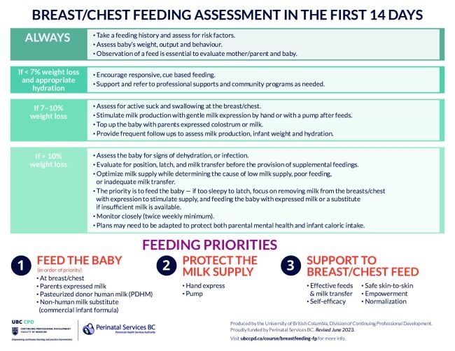 UBC-CPD-Chest-Breastfeeding-Assessment-in-the-First-14-Days.pdf