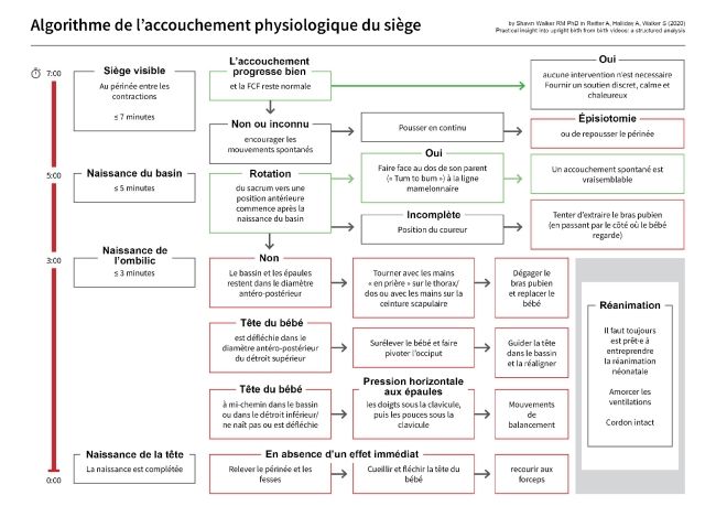 birth algorithm - french.pdf