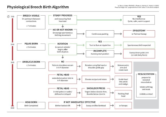 birth algorithm.pdf